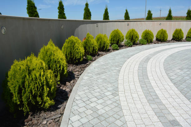 Reasons to Select Us for Your Driveway Paving Requirements in Healdton, OK